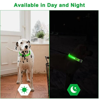 LED Flashing Dog Collar - Zavonix