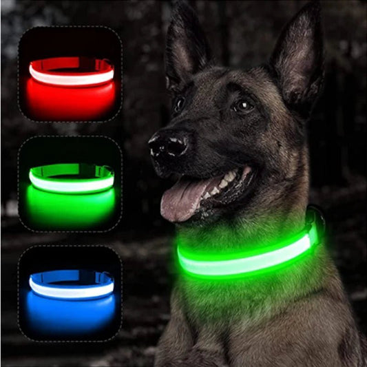 LED Flashing Dog Collar - Zavonix