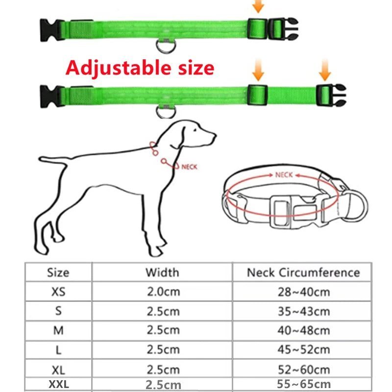 LED Flashing Dog Collar - Zavonix