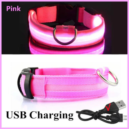 LED Flashing Dog Collar - Zavonix