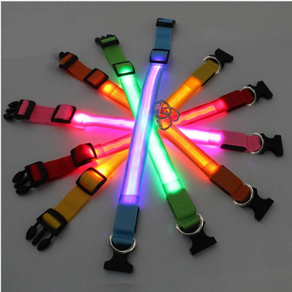 LED Flashing Dog Collar - Zavonix