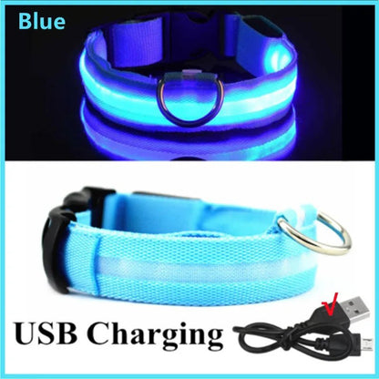 LED Flashing Dog Collar - Zavonix