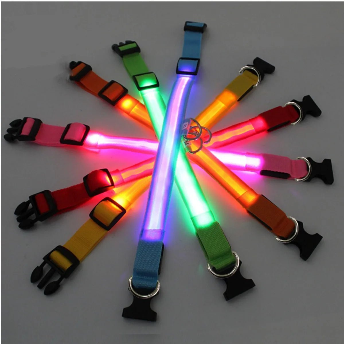 LED Flashing Dog Collar - Zavonix