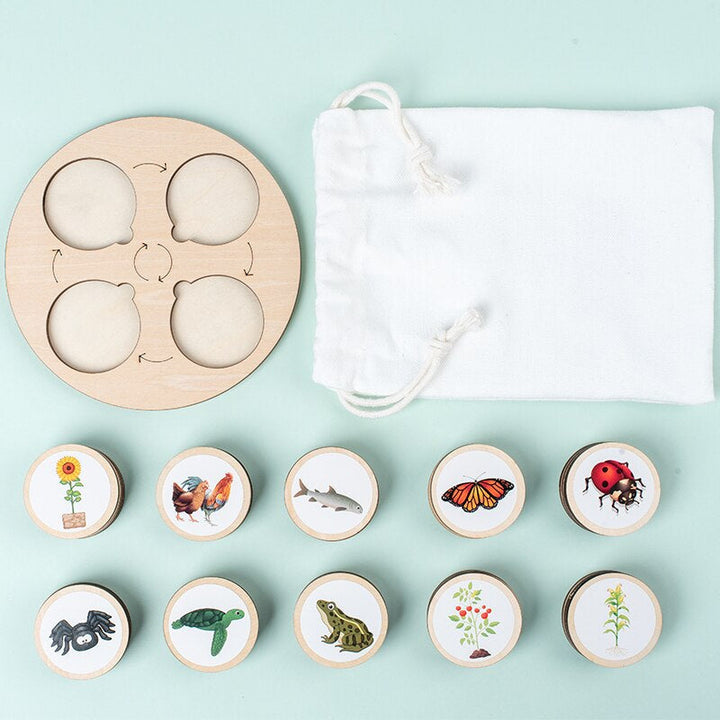 Round wooden life-cycle board beside a white pouch and ten illustrated animal and plant pieces