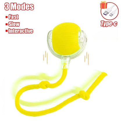 Magic Cat Ball Pro - Interactive LED Motion Toy 🐱✨ - Zavonix