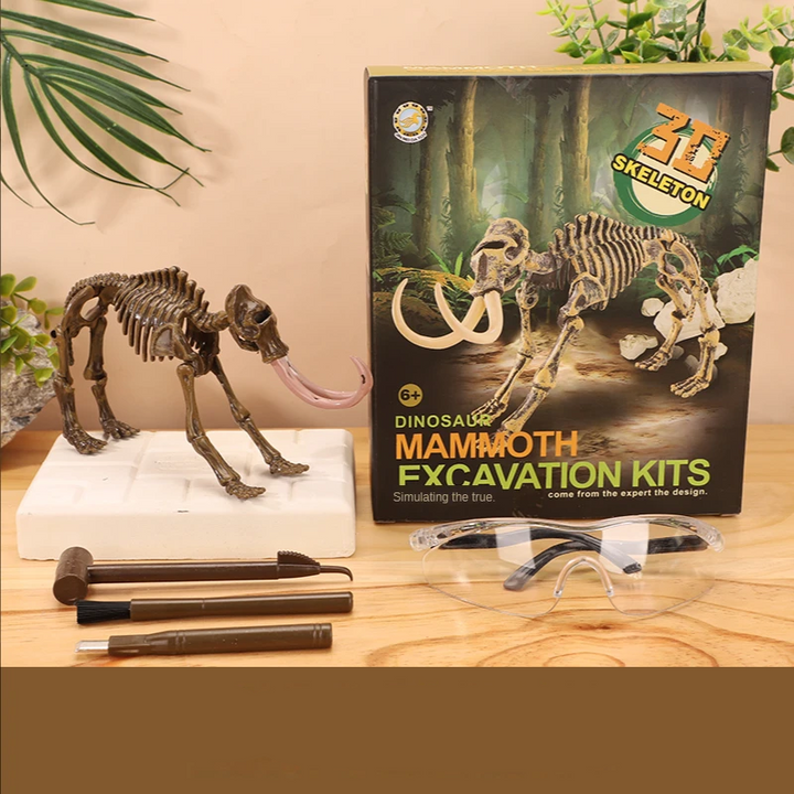 Mammoth skeleton model with long tusks beside an excavation block, tools, and box