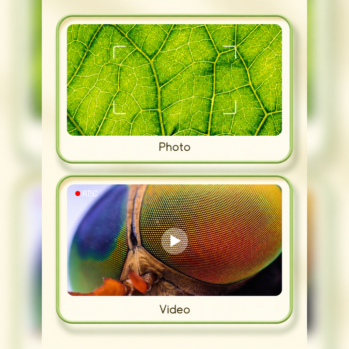 Photo and video examples showing magnified leaf veins and an insect&