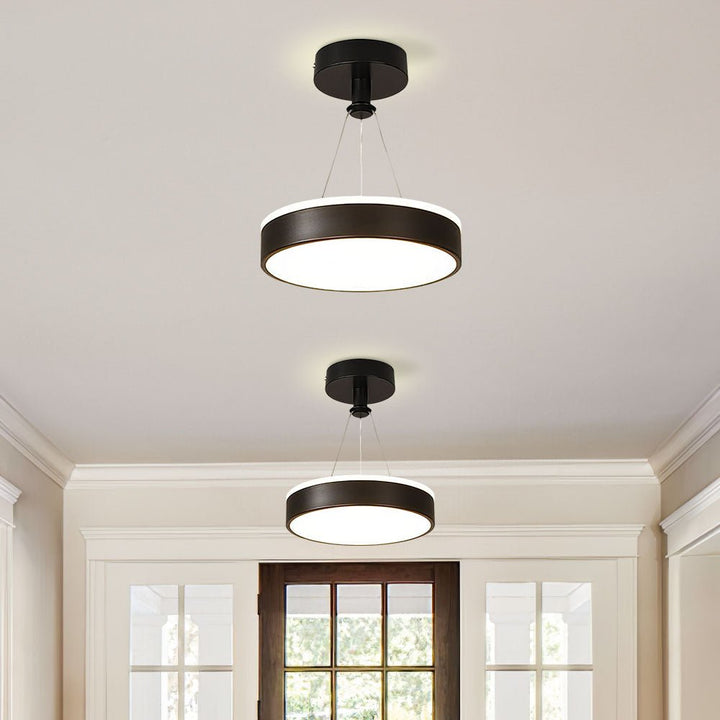 Modern Metal LED Pendant Ceiling Light – Stylish Iron and Silicone Fixture for Hallways and Living Rooms 0