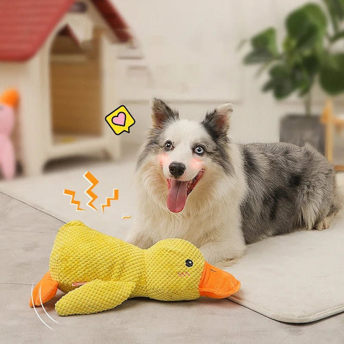 Quack - quack Duck Dog Toy - Zavonix