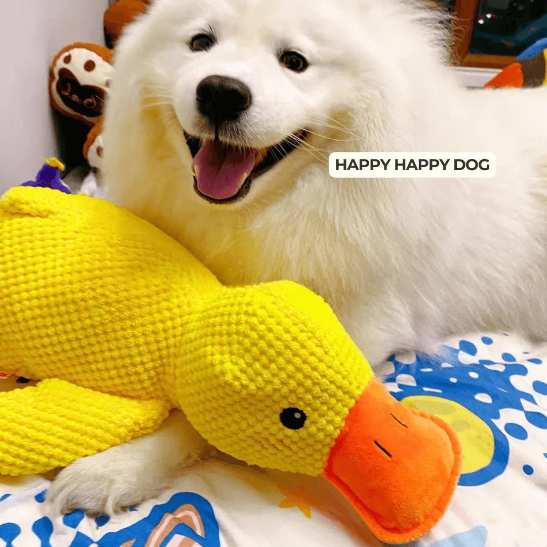 Quirky Duck Dog Toy | Durable Fabric, Quacking Sound 5