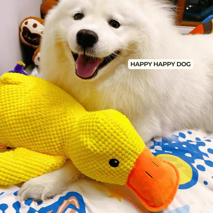 Quirky Duck Dog Toy | Durable Fabric, Quacking Sound 5
