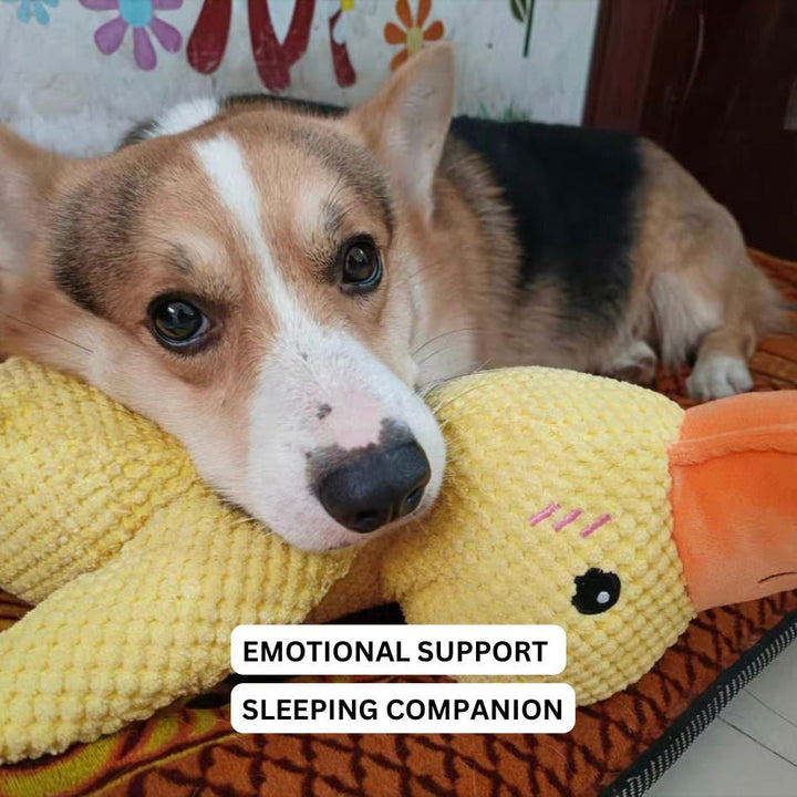 Quirky Duck Dog Toy | Durable Fabric, Quacking Sound 3