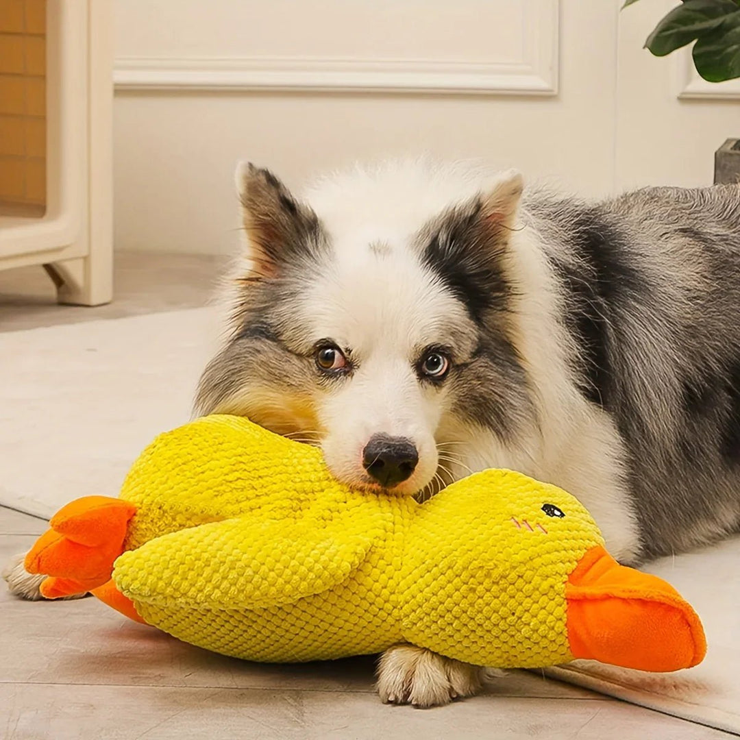Quirky Duck Dog Toy | Durable Fabric, Quacking Sound 4