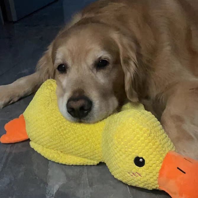 Quirky Duck Dog Toy | Durable Fabric, Quacking Sound 7