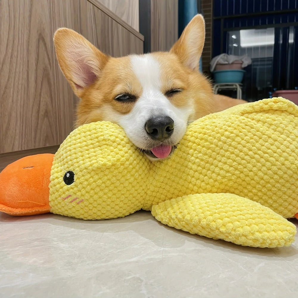 Quirky Duck Dog Toy | Durable Fabric, Quacking Sound 1