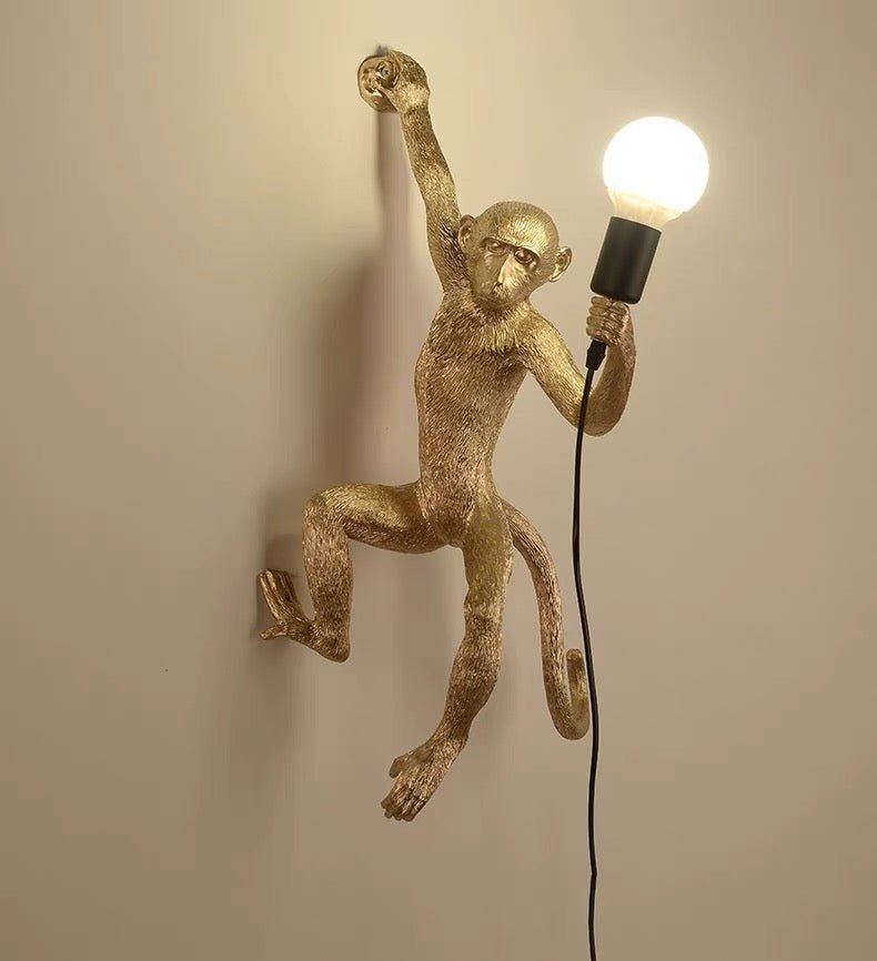 Quirky Resin Monkey Wall Light – Vintage-Inspired Pendant with Hemp Rope 6