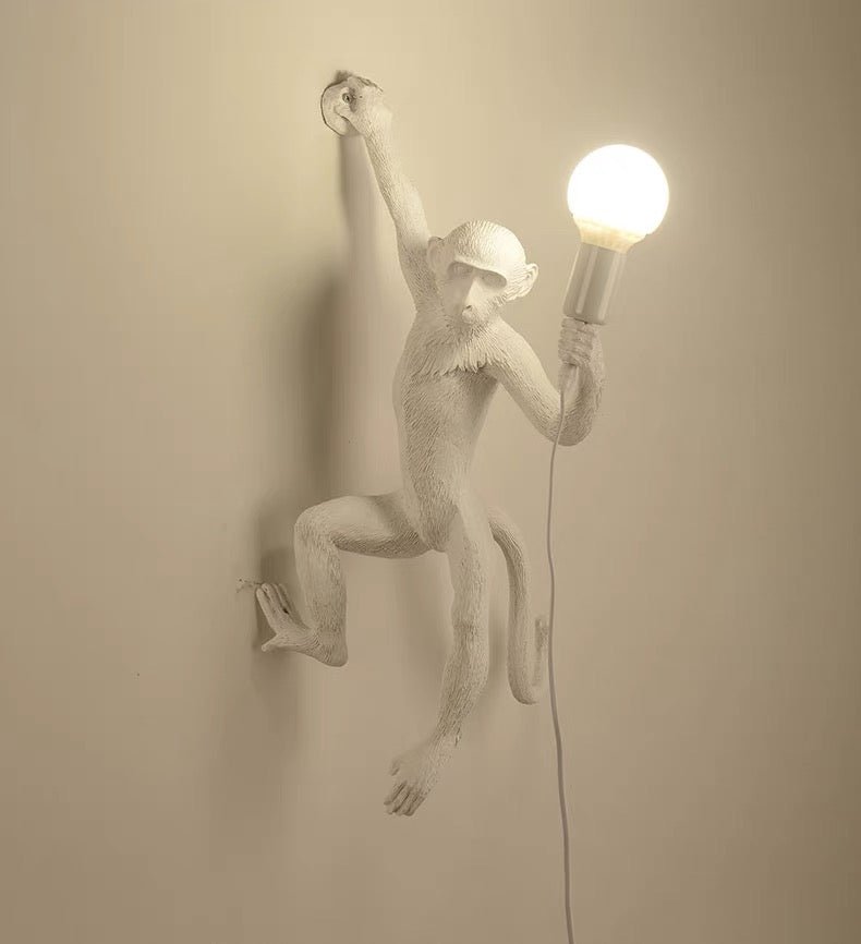 Quirky Resin Monkey Wall Light – Vintage-Inspired Pendant with Hemp Rope 4