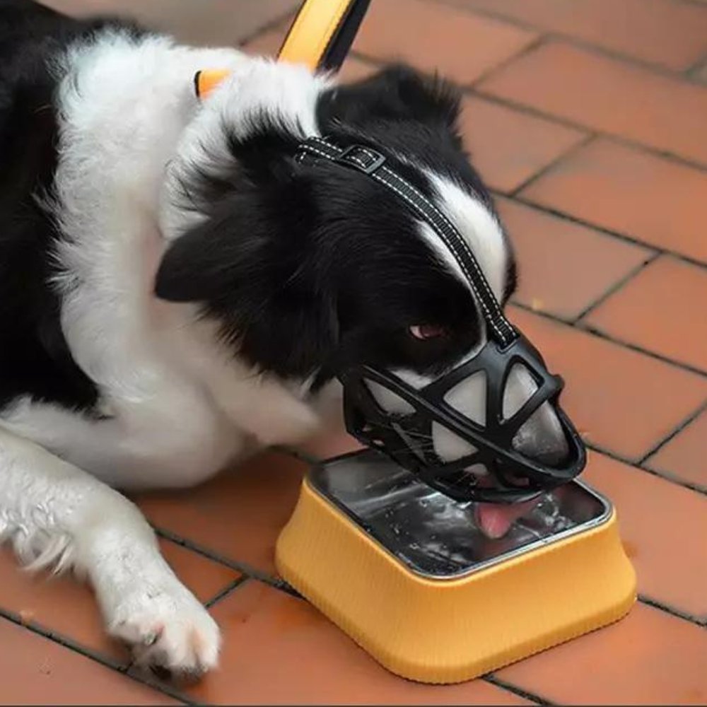 Sable Dog Muzzle | Comfortable Anti-Bite Solution 8