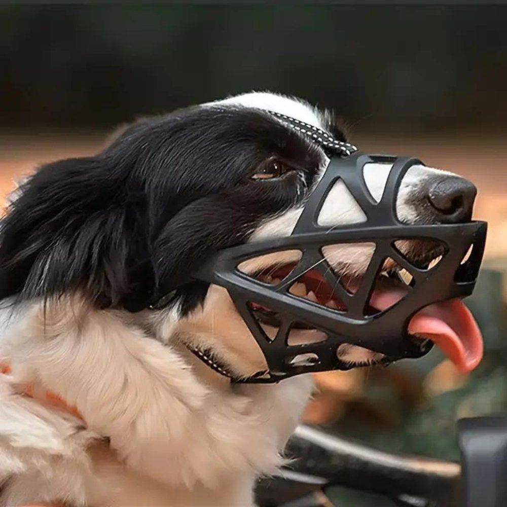 Sable Dog Muzzle | Comfortable Anti-Bite Solution 5