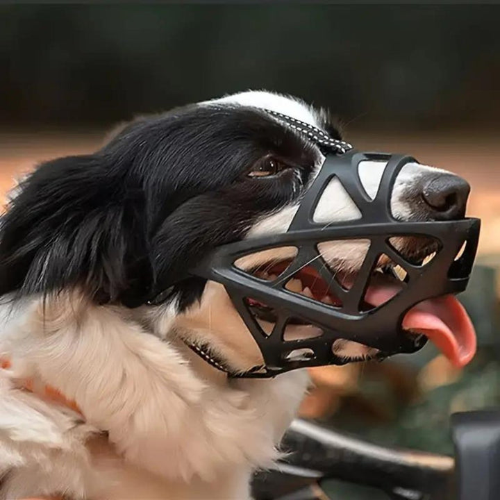 Sable Dog Muzzle | Comfortable Anti-Bite Solution 5