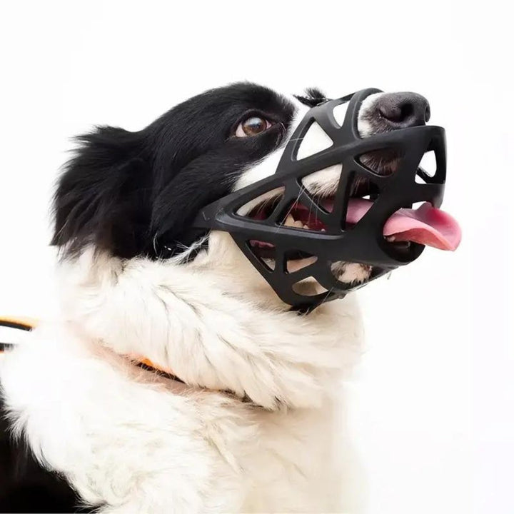 Sable Dog Muzzle | Comfortable Anti-Bite Solution 1