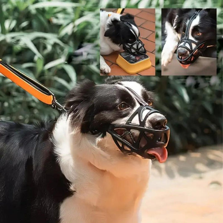 Sable Dog Muzzle | Comfortable Anti-Bite Solution 4
