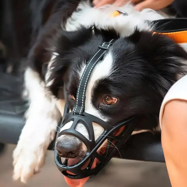 Sable Dog Muzzle | Comfortable Anti-Bite Solution 0