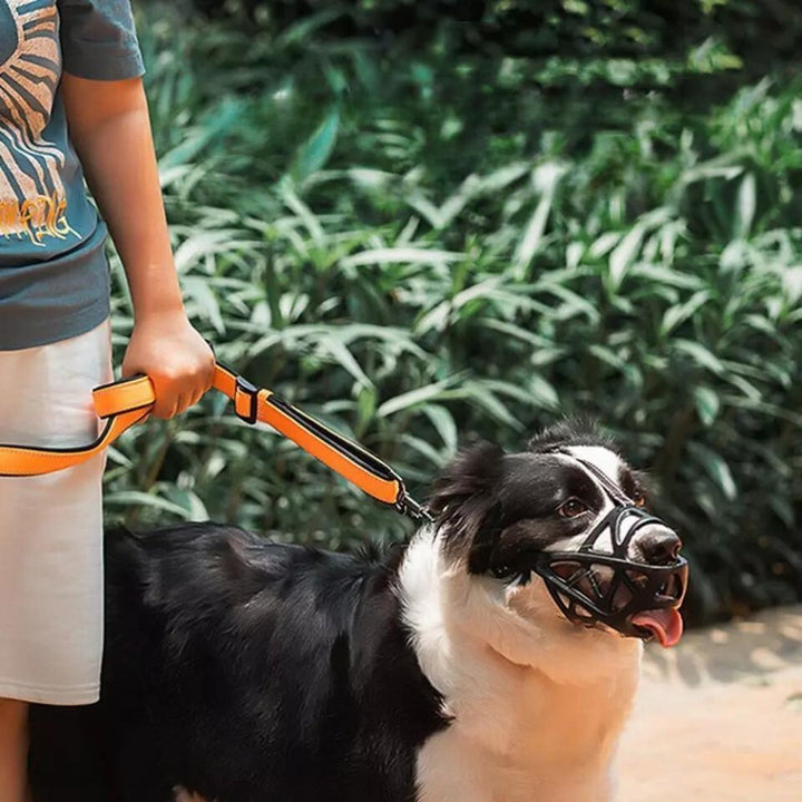 Sable Dog Muzzle | Comfortable Anti-Bite Solution 7