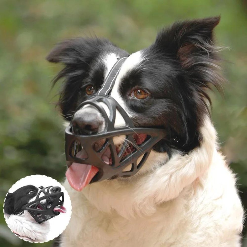 Sable Dog Muzzle | Comfortable Anti-Bite Solution 2