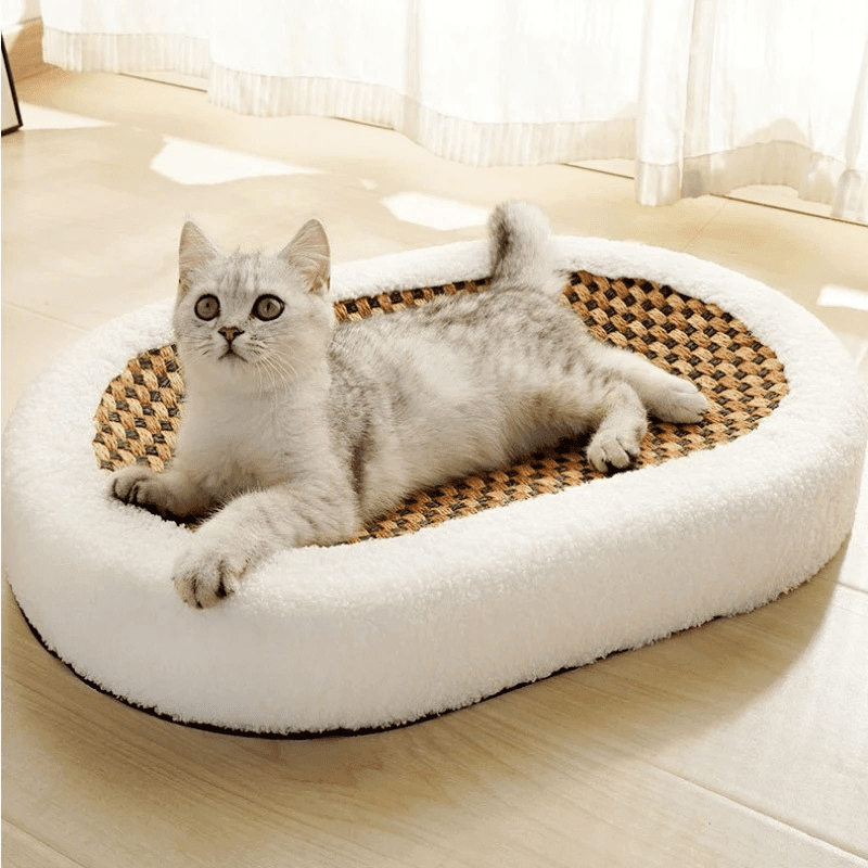 ScratchVibe™ — Transform Claw Chaos into Cozy Cat Bliss