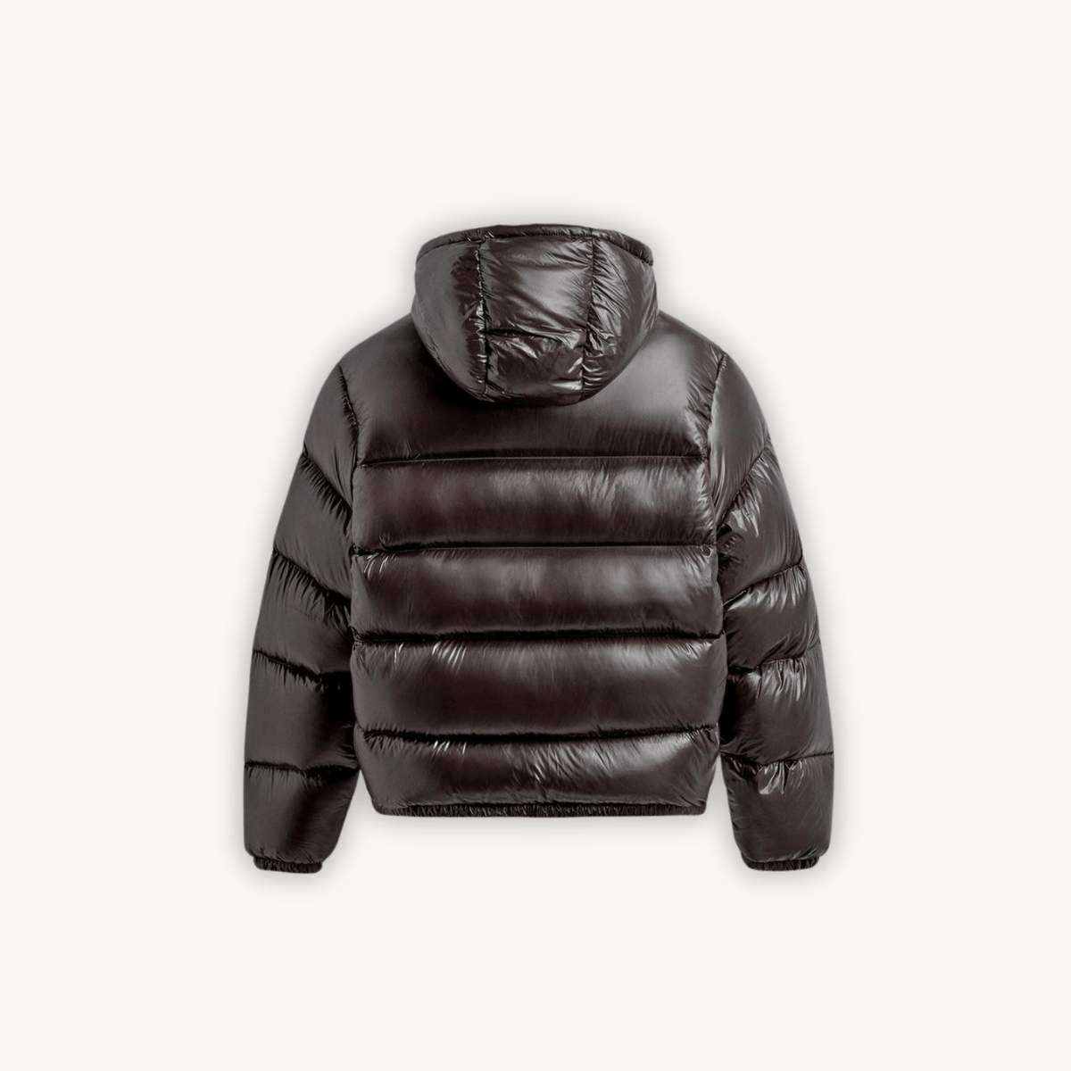 Sierra Women's Puffer Jacket | Technical Fabric, Adjustable Hood 7