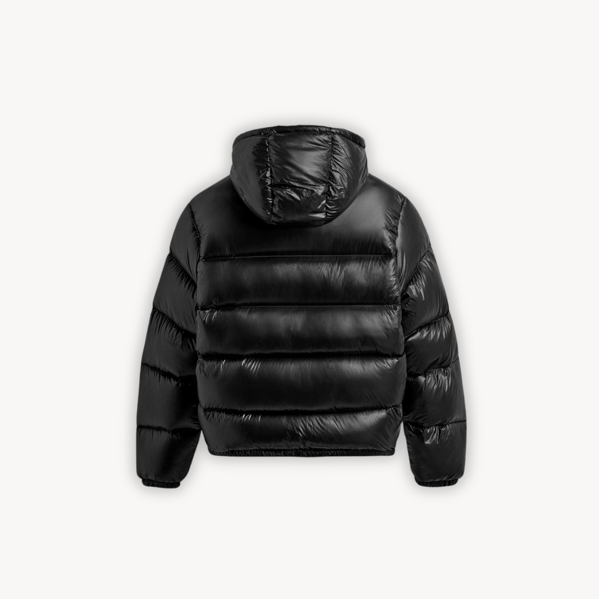 Sierra Women's Puffer Jacket | Technical Fabric, Adjustable Hood 6