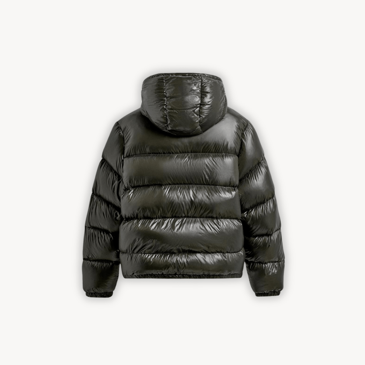 Sierra Women's Puffer Jacket | Technical Fabric, Adjustable Hood 8