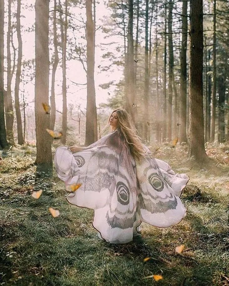 Silver Moth Wings Shawl – Elegance Stunning Cape ( ) - | Zavonix