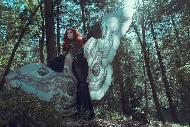 Silver Moth Wings Shawl – Elegance Stunning Cape ( ) - | Zavonix
