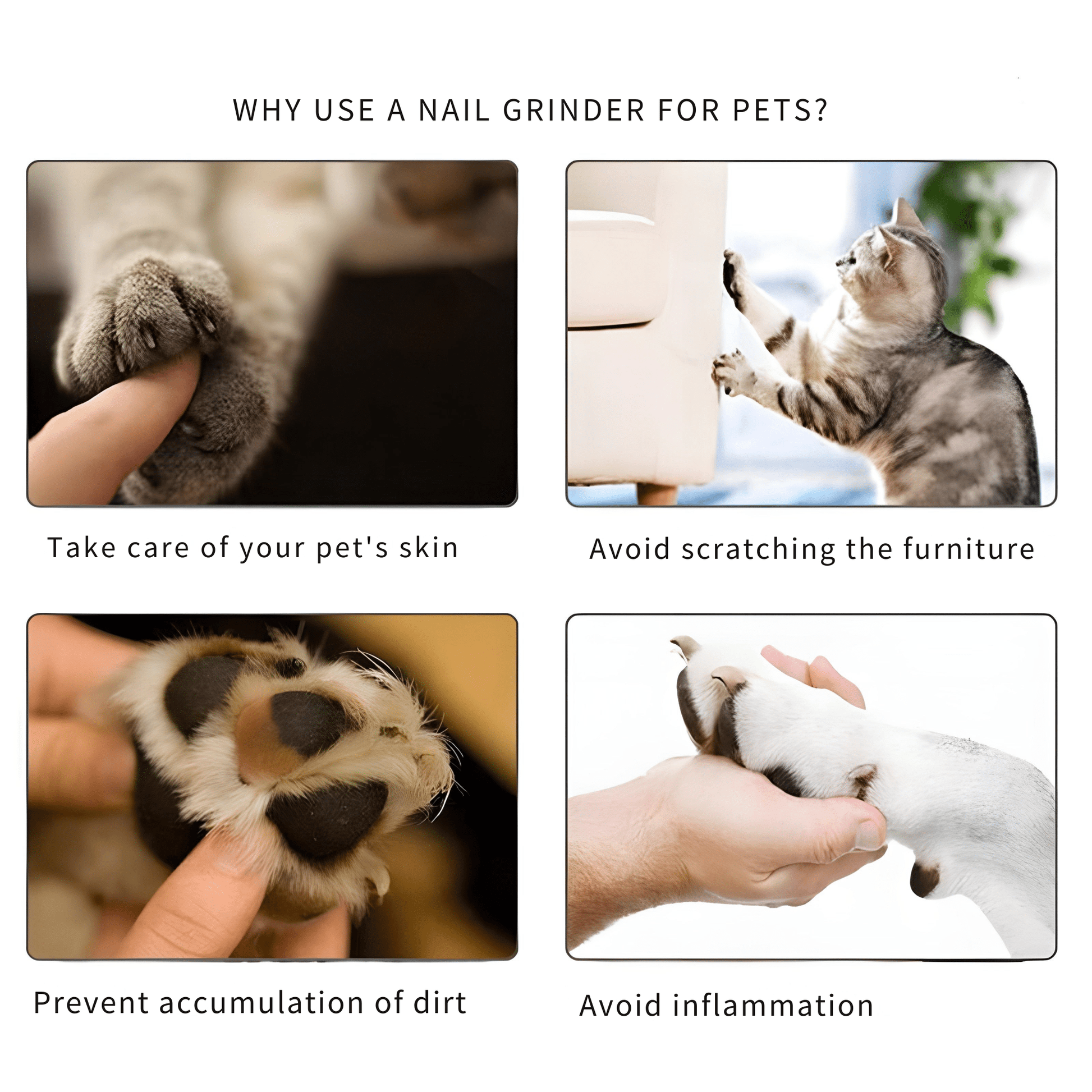 Stress - free Electric Pet Nail Grinder for your pet ( ) - | Zavonix