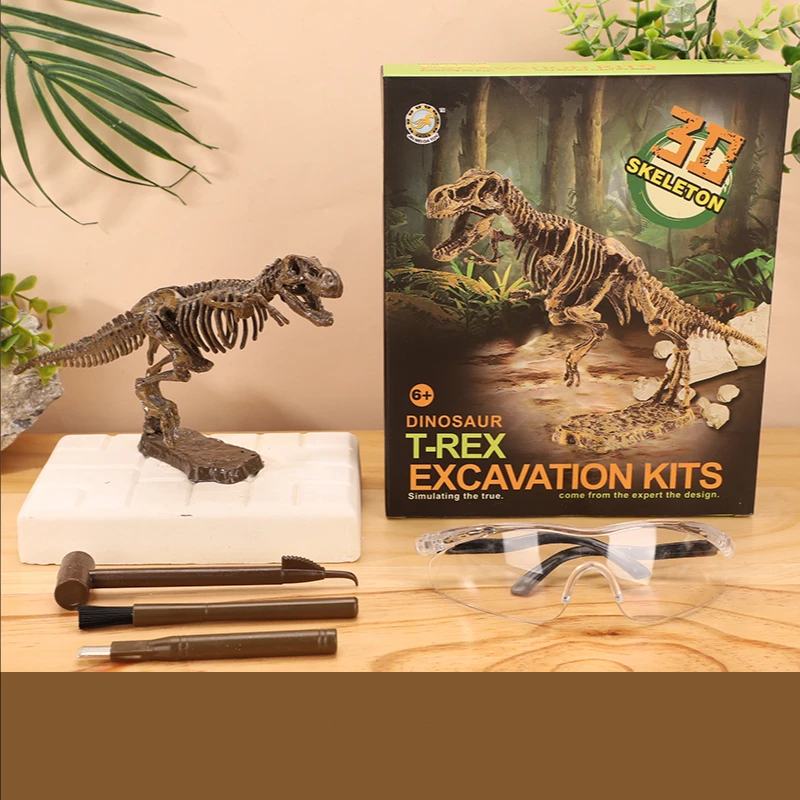 T. rex skeleton model on a base beside its excavation block, tools, clear goggles, and box