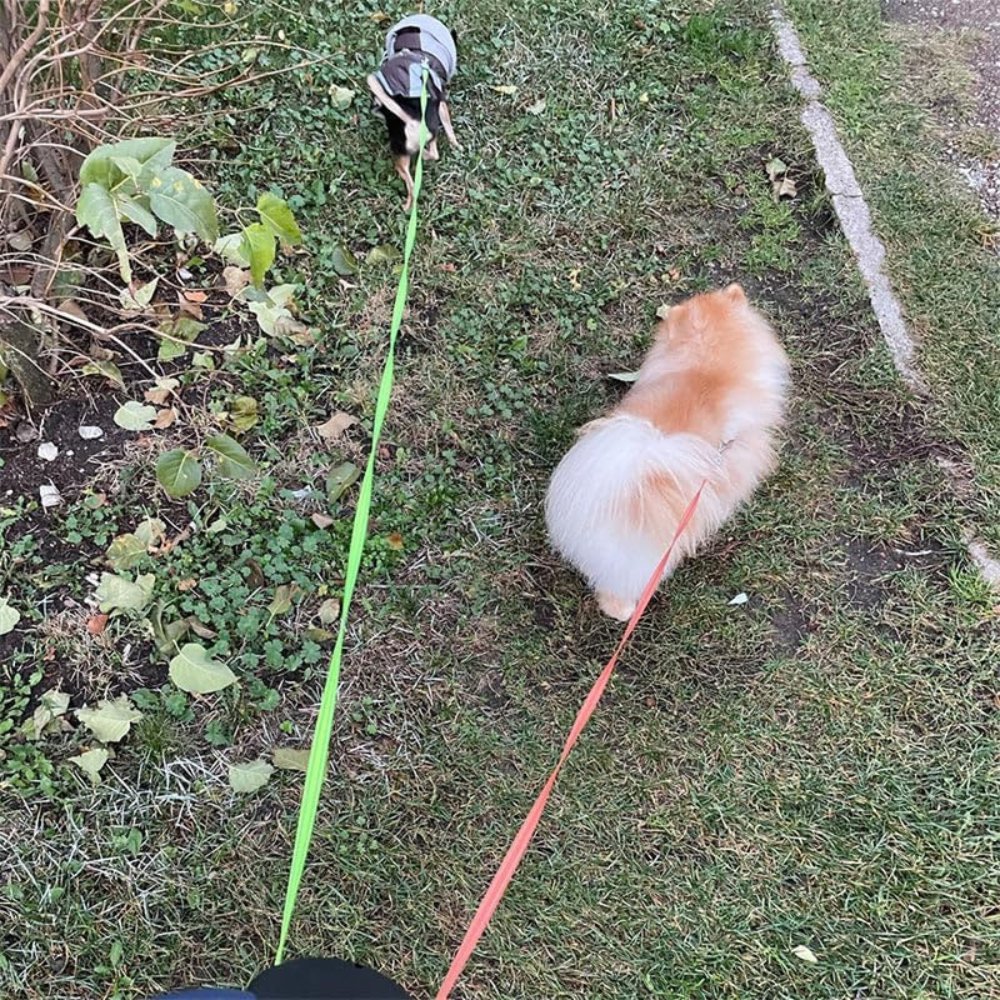 Tango Dual Dog Leash | Tangle-Free Design 6