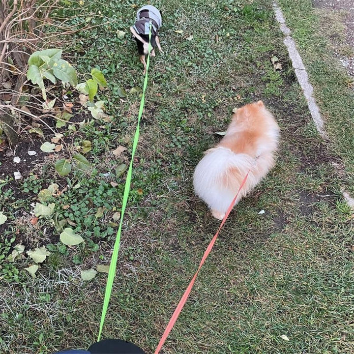 Tango Dual Dog Leash | Tangle-Free Design 6