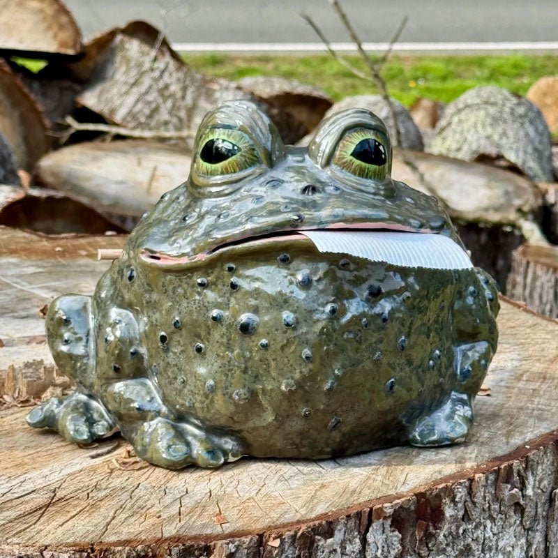 Toadside Funny Resin Tissue Holder Product Image 07