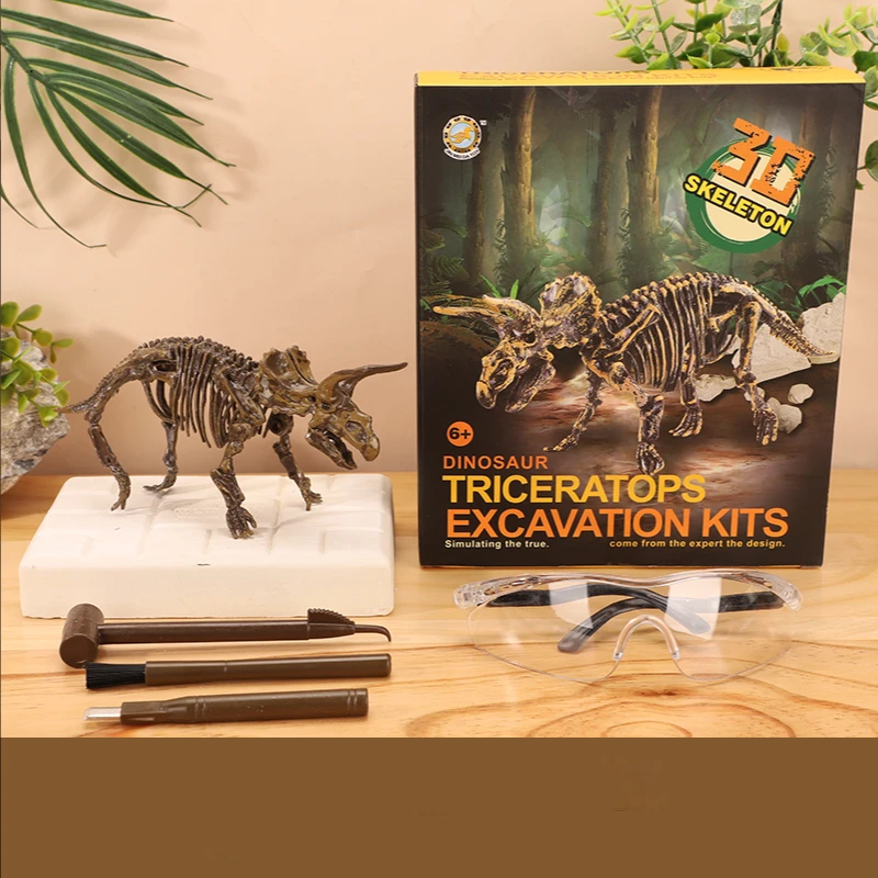 Triceratops skeleton model beside its excavation block, three tools, clear goggles, and box