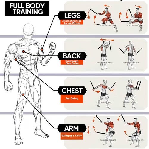 Vetrax Training Ropes | Compact Full-Body Fitness Equipment for Home Gym