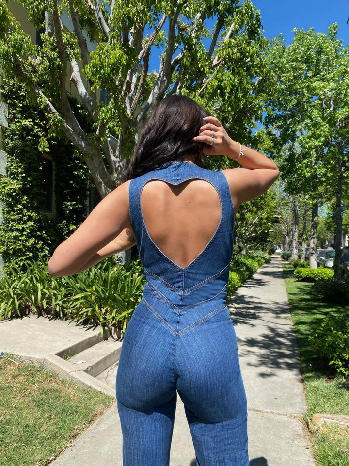 Veylisse Flared Denim Jumpsuit product image 10