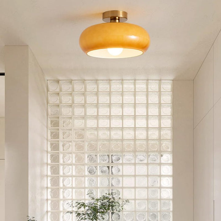 Vintage Round Glass Ceiling Light Fixture – Elegant Iron and Glass Design 1