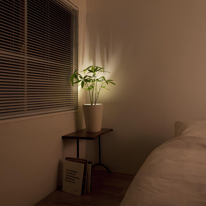 Wireless Accent Light  | Set the perfect home glow at night — no wires, no tools needed