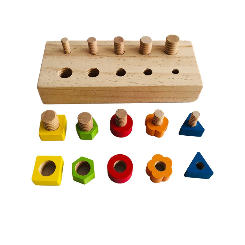 Wooden puzzle board with five threaded posts and colorful matching shapes arranged below