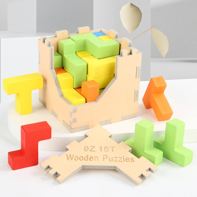 Z- and T-shaped wooden blocks beside an open cube puzzle with its lid removed